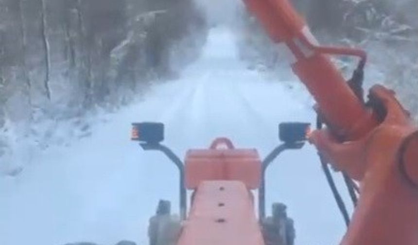 Sinop'ta kar yağışı: 34 köy yolu ulaşıma kapandı