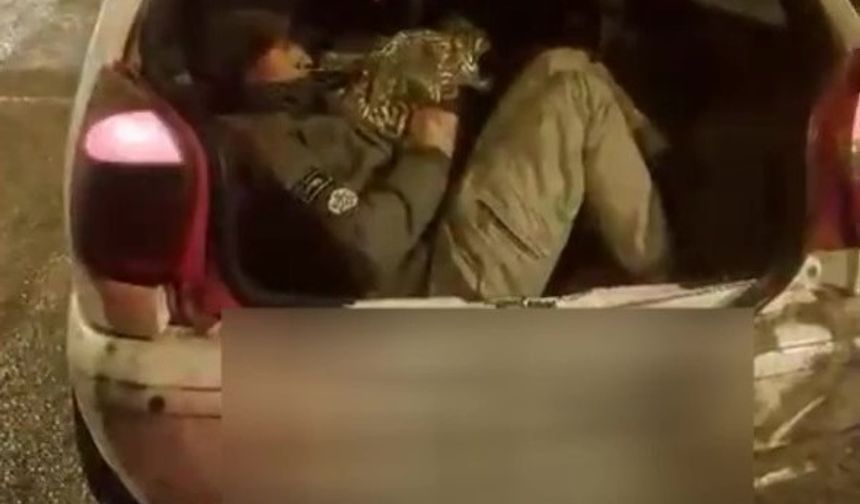 Amasya'da durdurulan otomobilden 5 kaçak göçmen çıktı