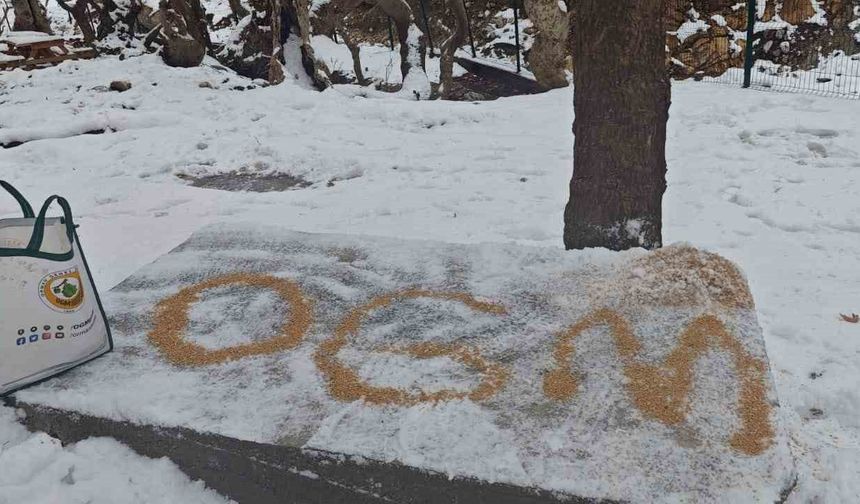 Batman'da yaban hayatı unutulmadı