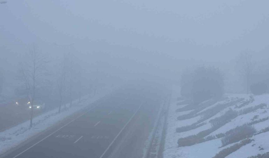 Düzce'de sis ve soğuk hava etkili oluyor