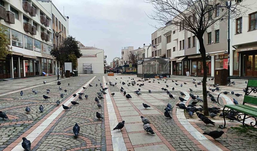 Edirne'de kar gitti, ayaz geldi: Pandemi günlerini aratmayan sessizlik