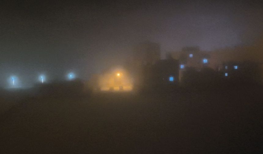 Gercüş'te sis etkili oldu