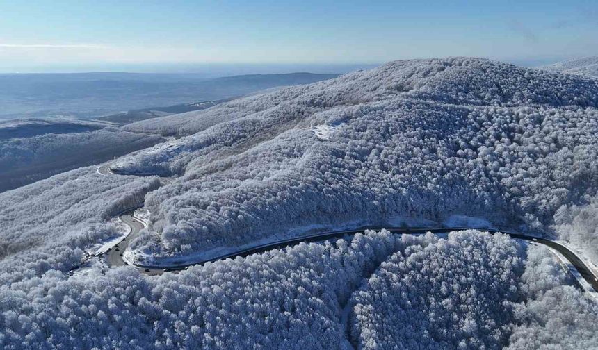 Istranca ormanlarında kar manzaraları