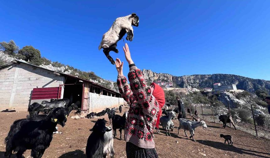 Mersinli Yörük kızı, baba mesleğiyle kültürünü yaşatıyor
