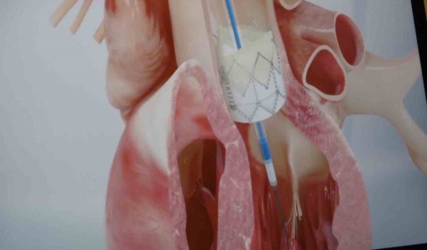 Prof. Dr. Pekdemir: 'Gençlerde ani ölümlerin yüzde 90'ı genetik nedenlerden kaynaklanıyor'