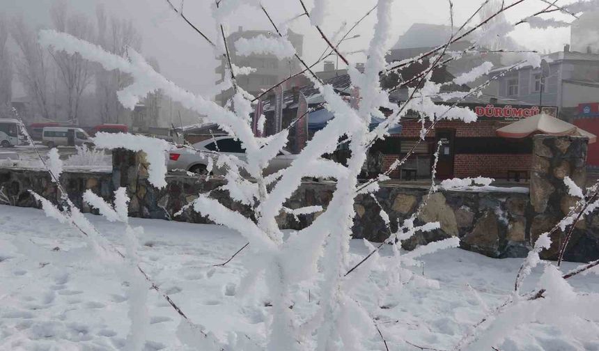 Sibirya soğukları hayatı olumsuz etkiliyor