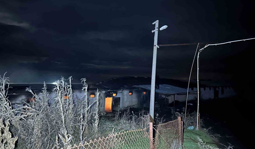 Uşak'ta boş tavuk çiftliğinde çıkan yangın korkuttu