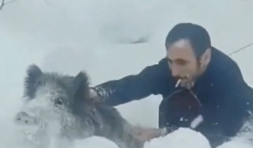 Sinop’ta Eliyle Yaban Domuzu Yakalayan Vatandaşa 14.911 TL Ceza!