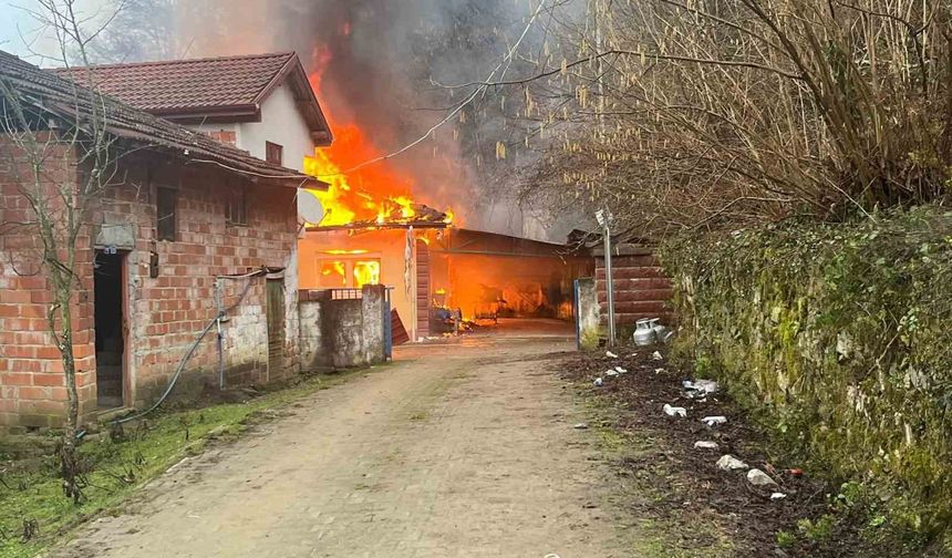 Bartın'da yanan ev kullanılamaz hale geldi
