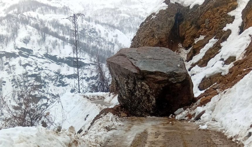 Bitlis'te yağış sonrası 6 farklı noktada heyelan meydana geldi