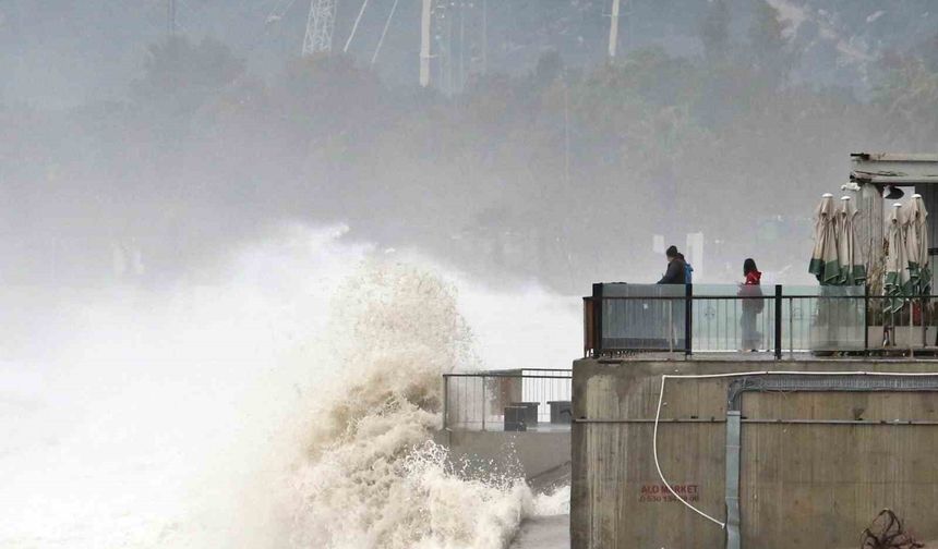 Dev dalgalar sahili dövdü: Martılar balık, define avcıları kıymetli eşya aradı