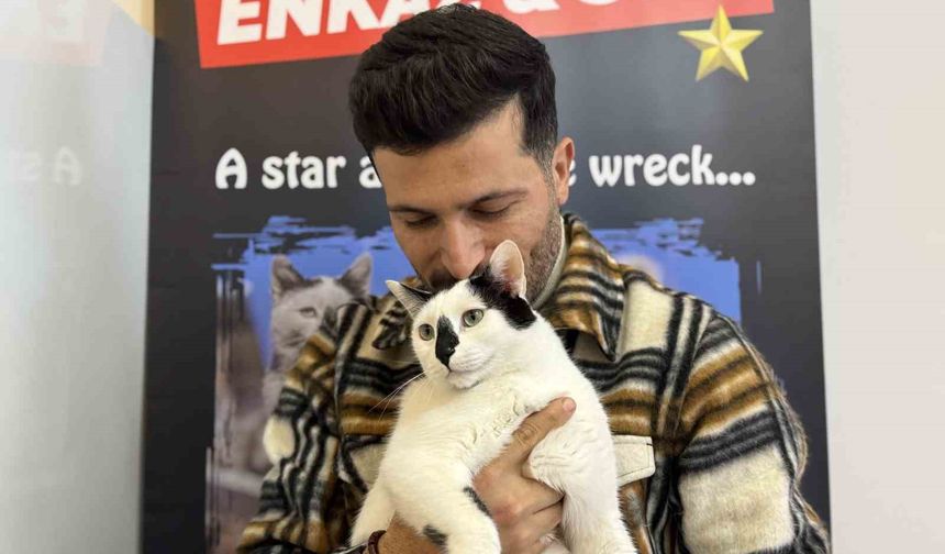 Eski itfaiye eri, enkazdan çıkardığı kediyle deprem travmasını birlikte atlattı