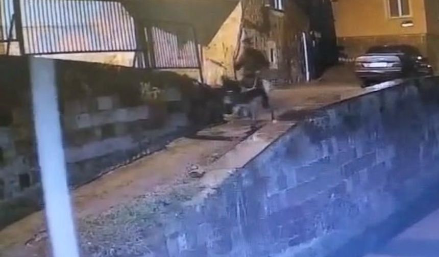 Forklifle gelmiş, eşekle kaçmış