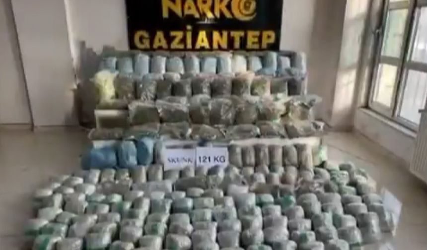 Gaziantep'te 121 kilo skunk ele geçirildi: 1 şahıs tutuklandı