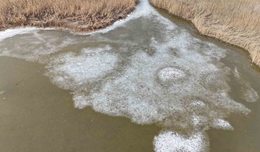 Iğdır'da donan Karasu Sazlığı'nda buzlar eriyor