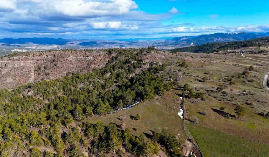 Karlar eridi, yaylalar yeşile bürünmeye başladı
