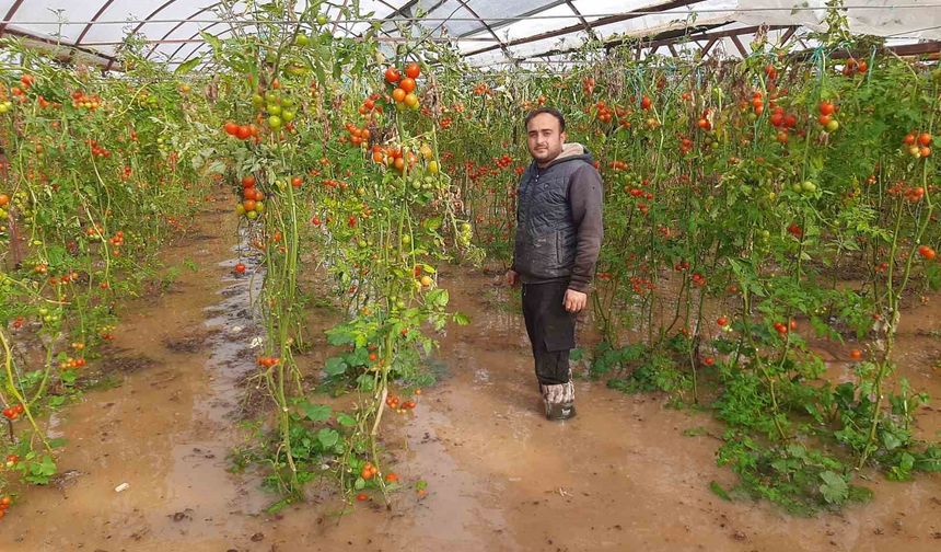 Kumluca'da hortum seraları parçaladı