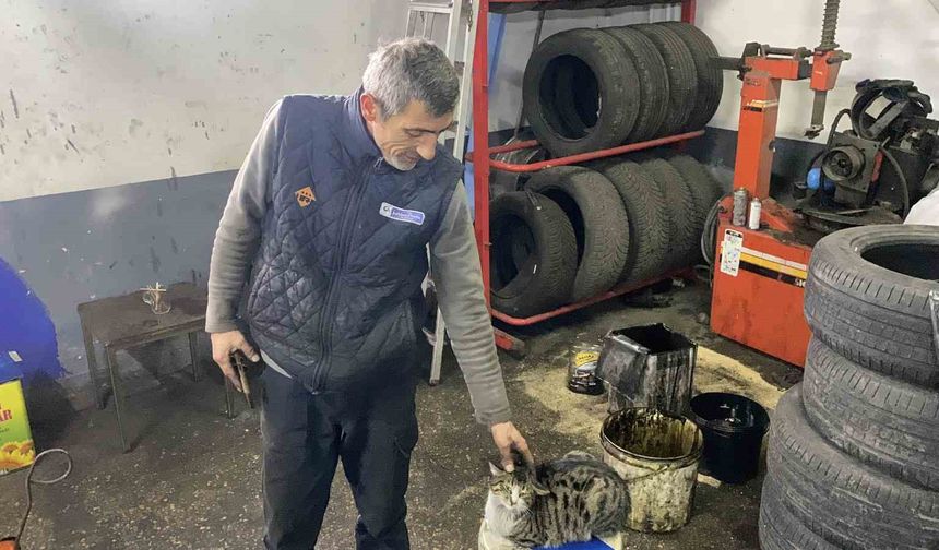 Oto tamircisinin en sadık çırağı 'Şıkkıdı' oldu