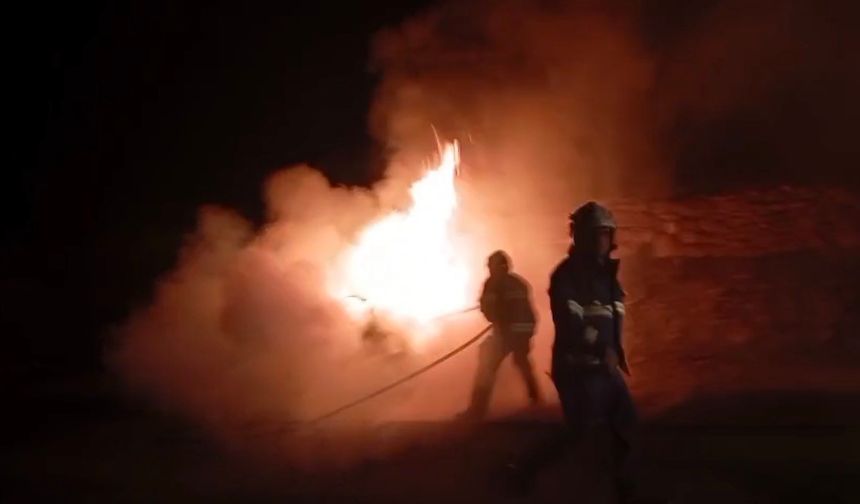 Park halindeki otomobil alevlere teslim oldu