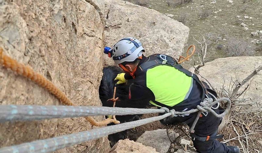Siirt'te üç gündür mahsur kalan keçi dağcılar tarafından kurtarıldı