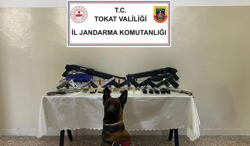 Tokat'ta silah ve fişek kaçakçılığına darbe