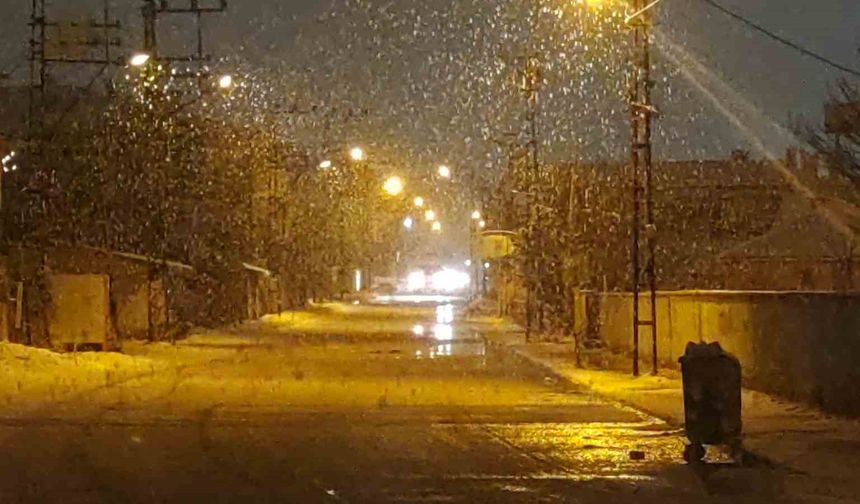 Van'da lapa lapa kar yağdı