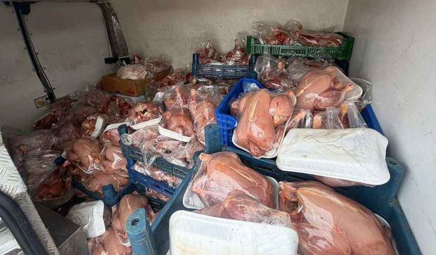 Van'da sağlık ve sevk belgeleri bulunmayan 200 tavuk ele geçirildi