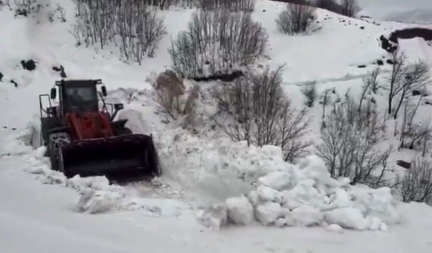 Yedisu'da kar kalınlığı 1 metreyi aştı, ekiplerin mücadelesi sürüyor