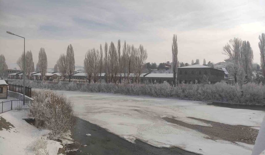 Ardahan'da kar yerini soğuk havaya bıraktı