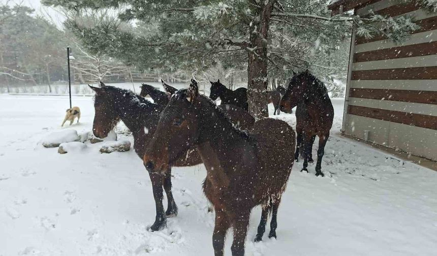 Bayramda Spil'e kar sürprizi