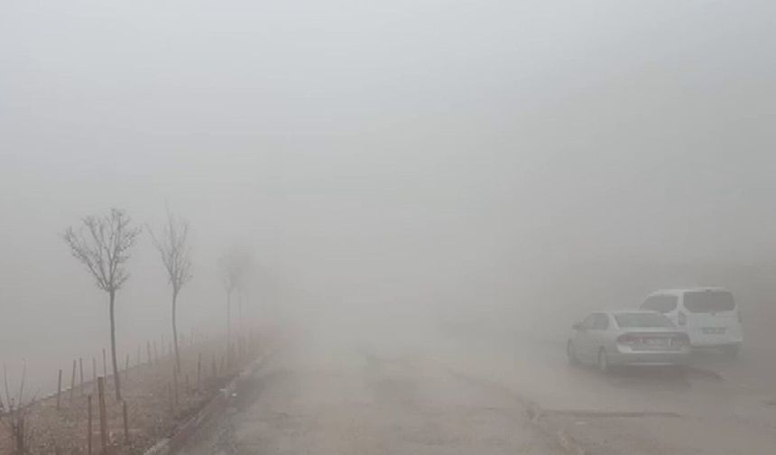 Besni'de sağanak yağış ve yoğun sis etkili oldu