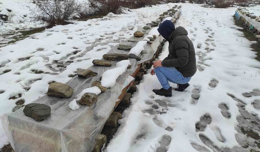 Birincilik getiren arılarını kış şartlarında özenle koruyor
