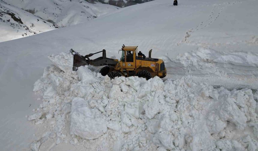 Bitlis'te 5 metreyi bulan karda yol açma çalışması