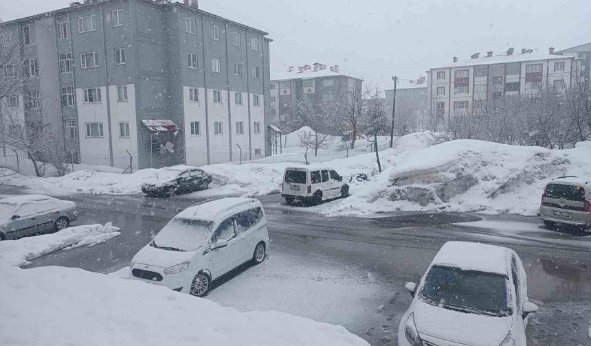 Bitlis'te kar yağışı