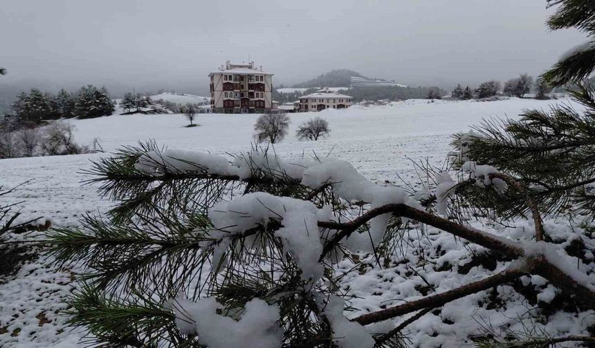 Bolu martta yağan karla beyaza büründü