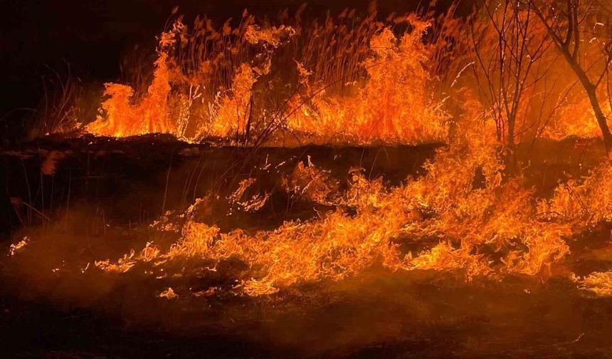 Burdur'da sazlık alanda yangın geceyi aydınlattı