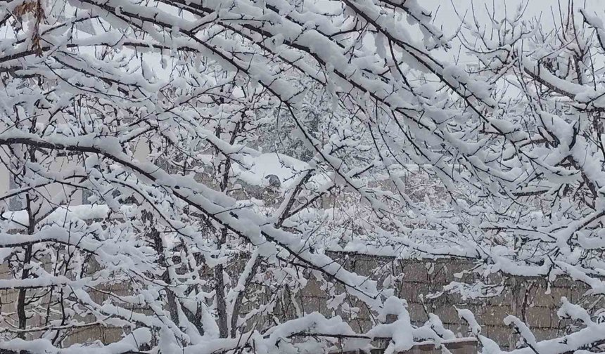 Erciş'te mart ayında kar yağışı