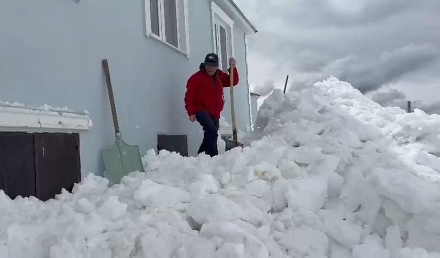 Gümüşhane'de akılalmaz olay: Ayılar bu kez kapıdan değil pencereden girdi