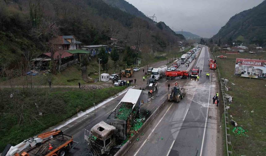 İki tır çarpıştı, D-650 savaş alanına döndü