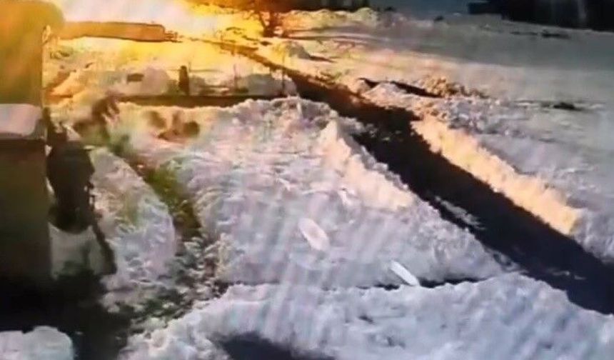 Kars'ta kurt sürüsünü kürekle kovalayan vatandaş kamerada
