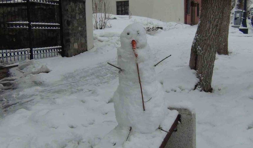 Kars'ta Mart ayında yağan kar, kenti yeniden beyaza bürüdü