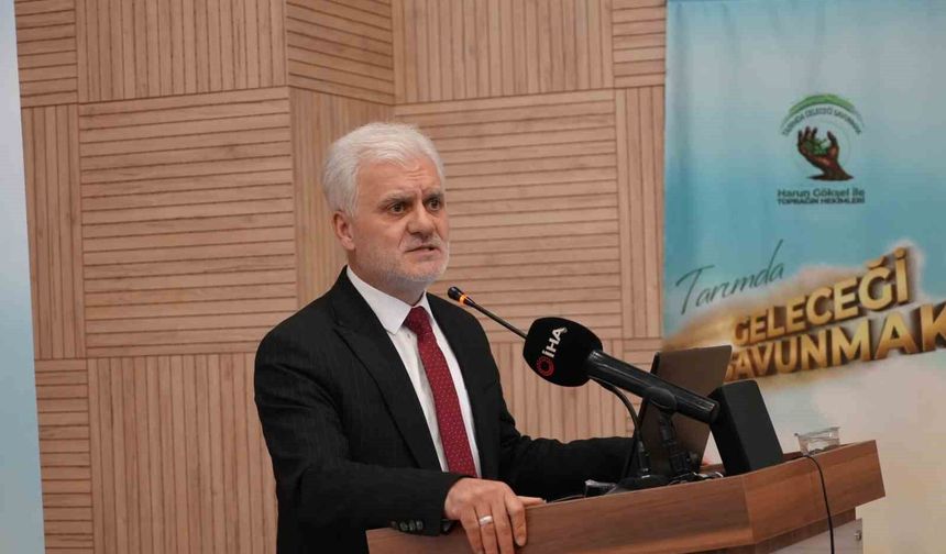 Kastamonu'da defne üretimi 3 bin hektarın üzerine çıktı