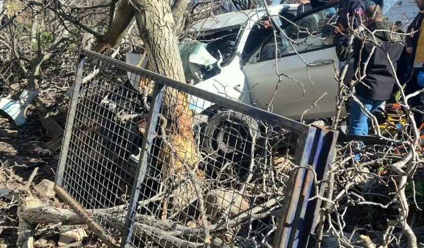 Kontrolden çıkan otomobil ağaçlara ok gibi saplandı: 2 ölü, 1 ağır yaralı