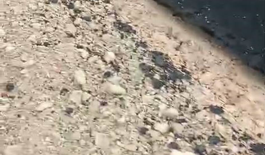 Kurtalan'da yeni yapılan yolun tehlike oluşturduğu iddiası