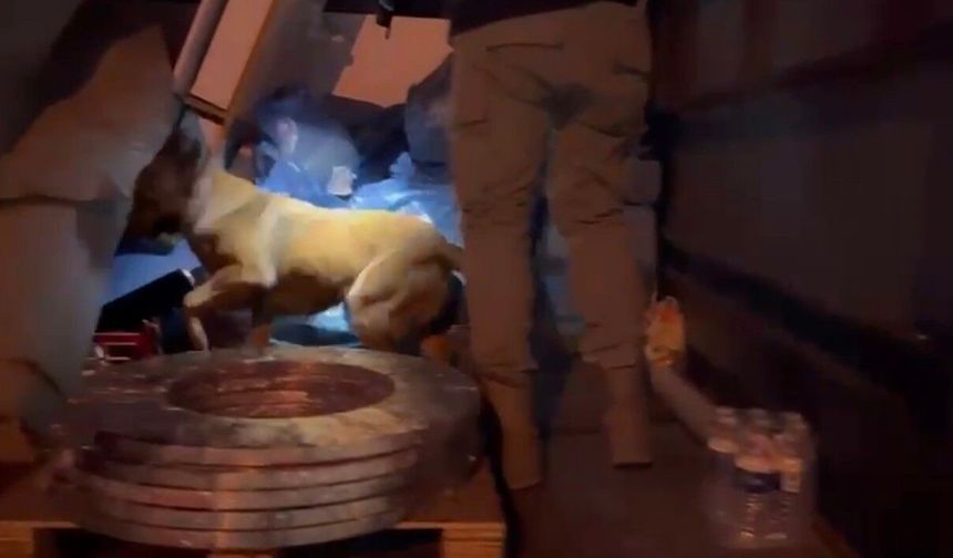 Marş dinamosundan uyuşturucu çıktı: Narkotik köpeği Pera'nın dikkati ele verdi