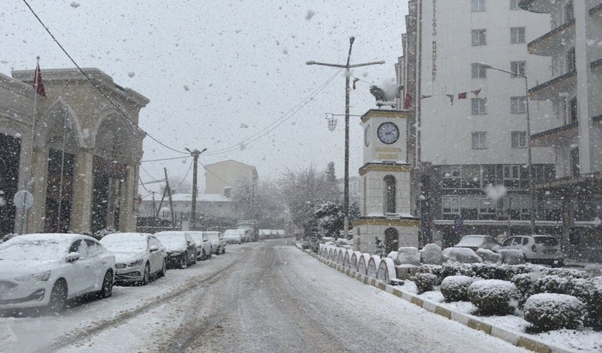 Mazıdağı'nda mart ayında kar yağışı etkili oldu