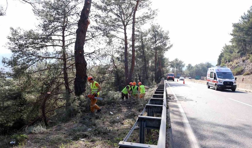 Muğla'da yangın sezonu öncesi Sakar Geçidi'nde riskli dallar temizleniyor