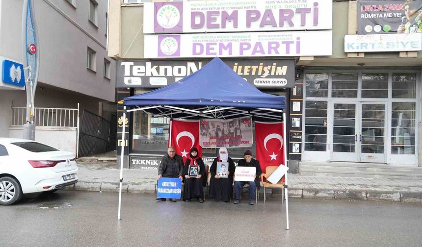 Muş'ta evlat nöbeti devam ediyor