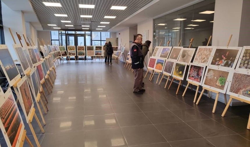 Sinop'ta 'Tarım, Orman ve İnsan Sergisi' açıldı