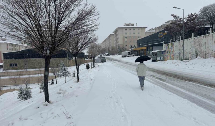 Van'da mart ayı kapıdan baktırdı: Kar yağışı ulaşımı durdurdu